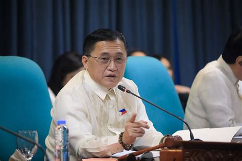 pulse asia senatorial survey 2025|Duterte, Tulfo lead Senate bets for 2025 polls – survey.